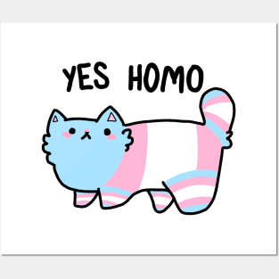 Trans Cat Posters and Art